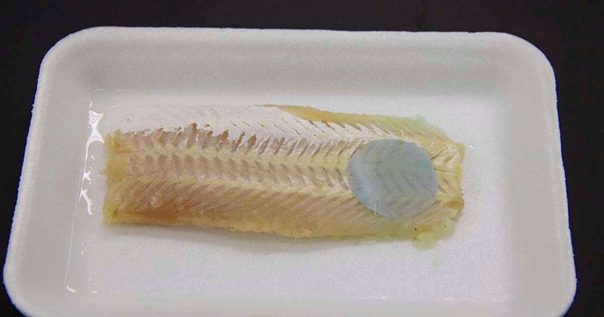cientistas-desenvolvem-embalagem-que-muda-de-cor-quando-peixe-estraga