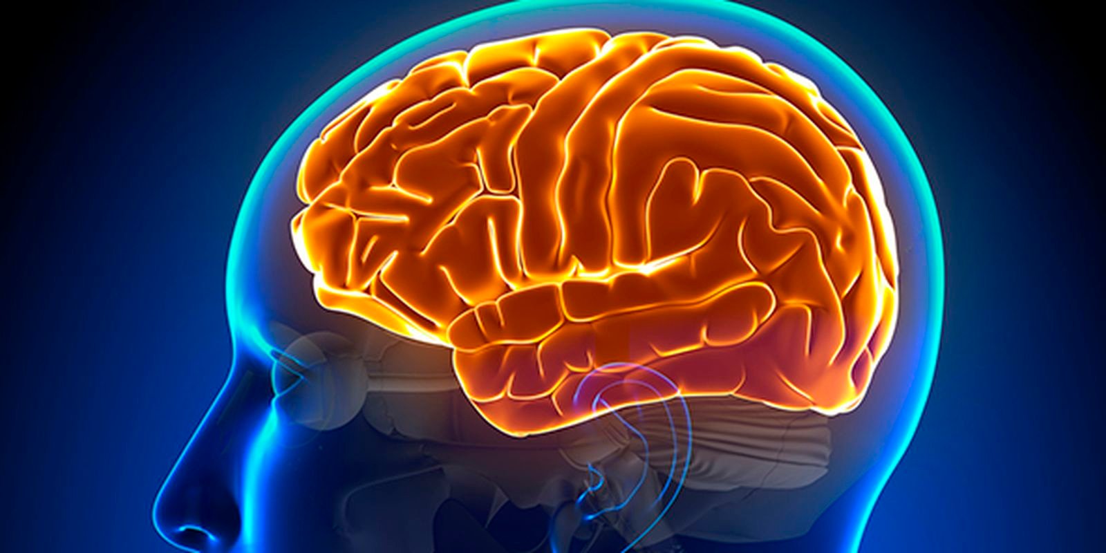entenda-a-hidrocefalia-normobarica,-causa-da-cirurgia-de-chico-buarque