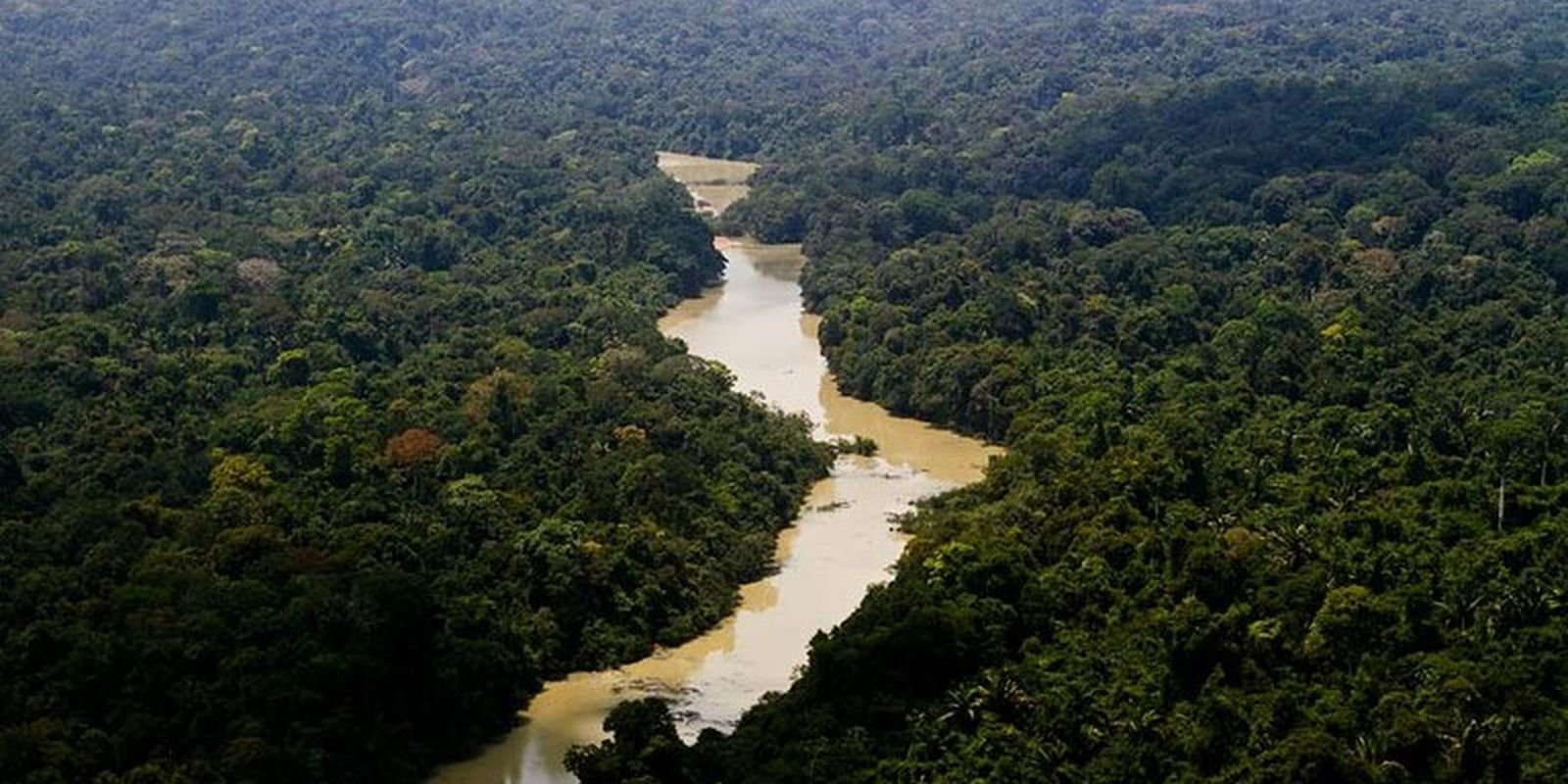 fundo-amazonia-aprova-mais-de-r$-1-bilhao-no-primeiro-semestre