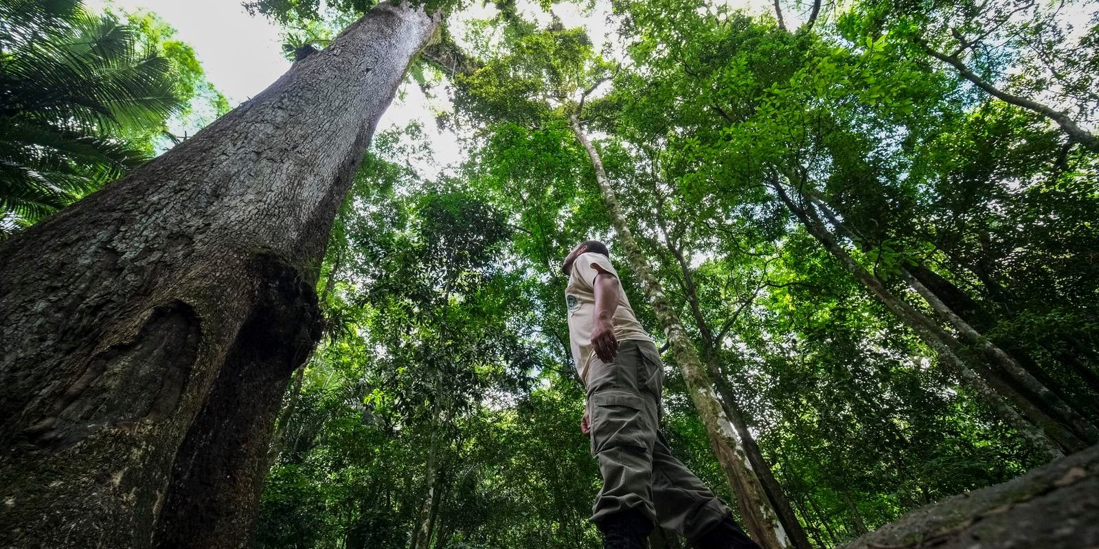 cop30:-brasil-lanca-carta-com-30-objetivos-para-protecao-do-clima