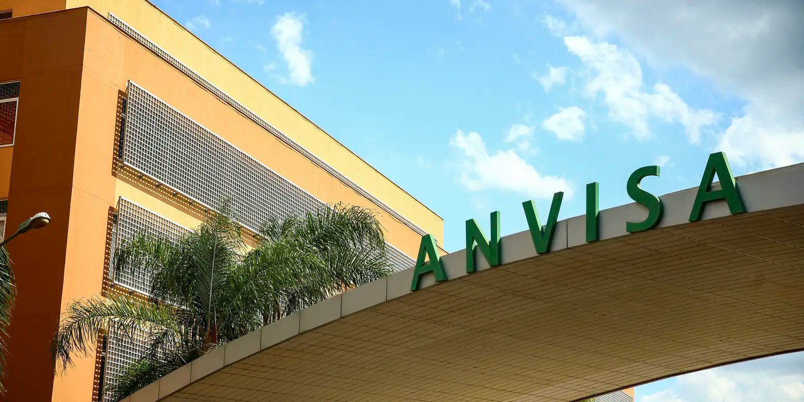 anvisa-aprova-medicamento-oral-para-tratar-tumores-cerebrais