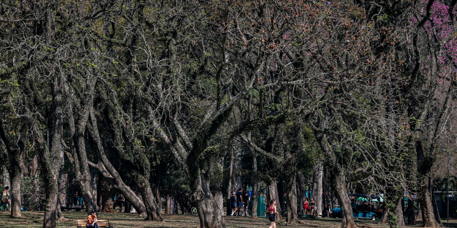 cidade-de-sao-paulo-tem-agosto-mais-seco-desde-2020