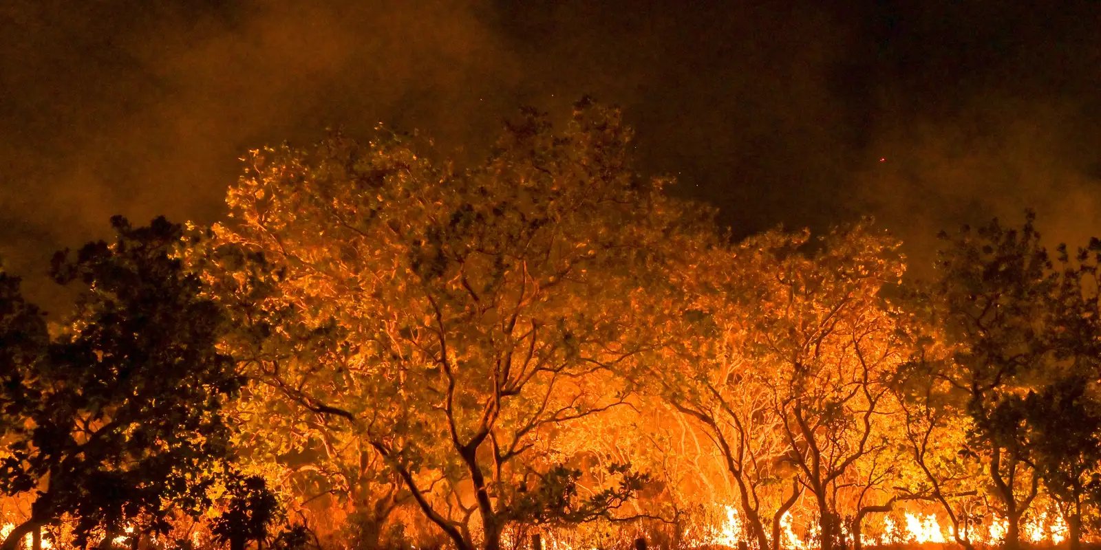 estado-de-sao-paulo-esta-na-semana-de-maior-risco-para-incendios
