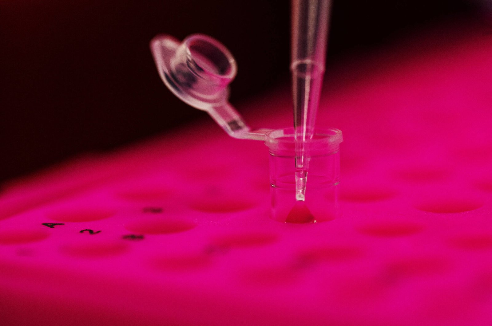 mapeamento-genetico-identifica-risco-hereditario-de-cancer-de-mama-em-ate-10%-dos-casos