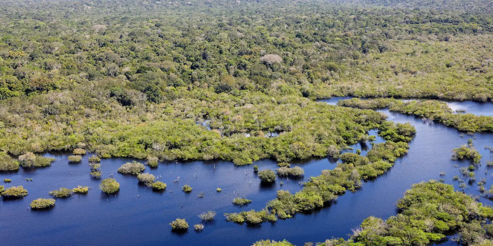 boleto-gigante-na-paulista-cobra-paises-ricos-sobre-divida-com-o-clima
