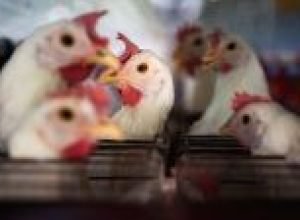 espanha-bloqueia-65-mil-anuncios-do-airbnb-de-alugueis-por-temporada