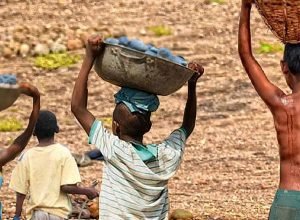 mais-de-6-mil-criancas-sao-resgatadas-do-trabalho-infantil-em-2-anos