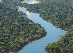 viva-maria:-unb-sedia-forum-internacional-sobre-a-amazonia