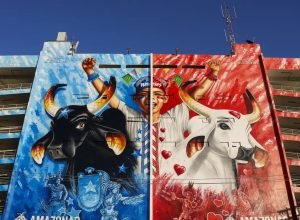 uso-de-guindastes-segue-liberado-no-festival-de-parintins