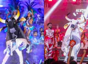 festival-de-parintins-conhece-vencedor-nesta-segunda-(30)