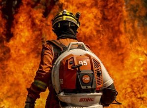 brasil-registra-queda-no-numero-de-areas-queimadas-e-de-focos-de-calor