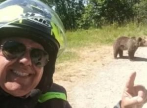 turista-filma-a-propria-morte-em-ataque-de-ursa-apos-alimentar-filhotes