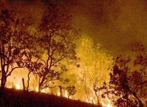 maranhao-reforca-acoes-e-equipamentos-para-combate-as-queimadas