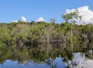 rio-negro-inicia-vazante-em-manaus,-mas-alagamentos-persistem