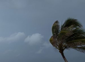 defesa-civil-alerta-para-ventos-fortes-em-sp-nesta-segunda-feira
