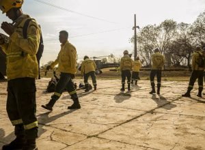 combate-aos-incendios-florestais-recebe-mais-brigadistas-e-veiculos