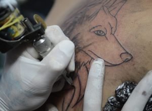 cfm-proibe-anestesia-para-a-realizacao-de-tatuagens