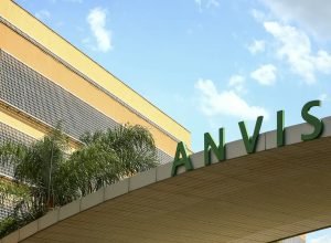 anvisa-aprova-medicamento-oral-para-tratar-tumores-cerebrais