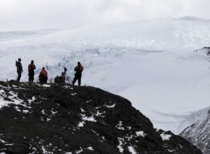 uerj-identifica-nova-especie-de-peixe-pre-historico-na-antartica