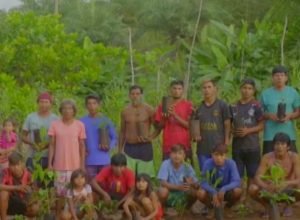 cop30:-conheca-o-trabalho-de-reflorestamento-do-povo-apinaje-em-tocantins