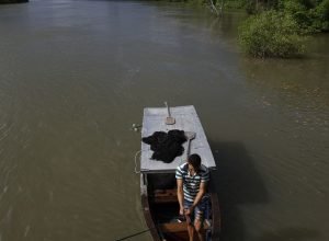 viva-maria-apresenta-trechos-da-serie-somos-amazonia