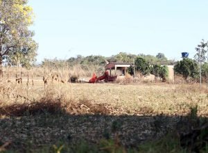 defesa-de-fazendeiros-em-goias-contesta-decisao-sobre-quilombolas