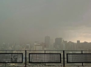 primavera-deve-ter-chuva-acima-da-media-e-temperatura-amena-em-sp