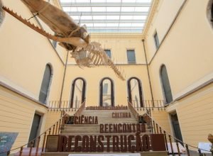 catalogo-inedito-do-museu-nacional-reune-fotografias-historicas