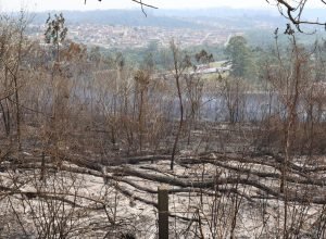 sp-segue-em-atencao-para-queimadas;-reservatorios-estao-em-alerta