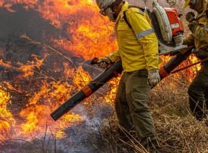 pre-cop:-brasil-propoe-resposta-global-a-incendios-florestais