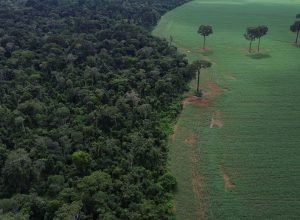 caravana-social-vai-a-cop30-denunciar-megaprojetos-do-agronegocio