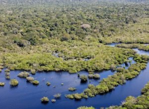 boleto-gigante-na-paulista-cobra-paises-ricos-sobre-divida-com-o-clima