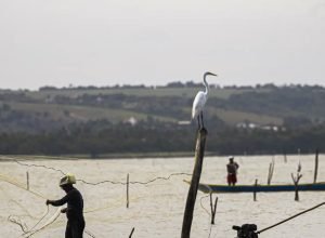 sexto-lote-do-seguro-defeso-sera-disponibilizado-na-terca-feira