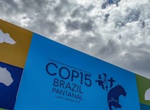 cupula-de-lideres-orienta-debates-para-cop15-em-campo-grande