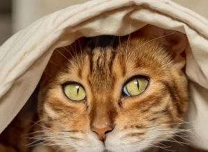 WhatsApp Image 2025-06-03 at 00.32.55